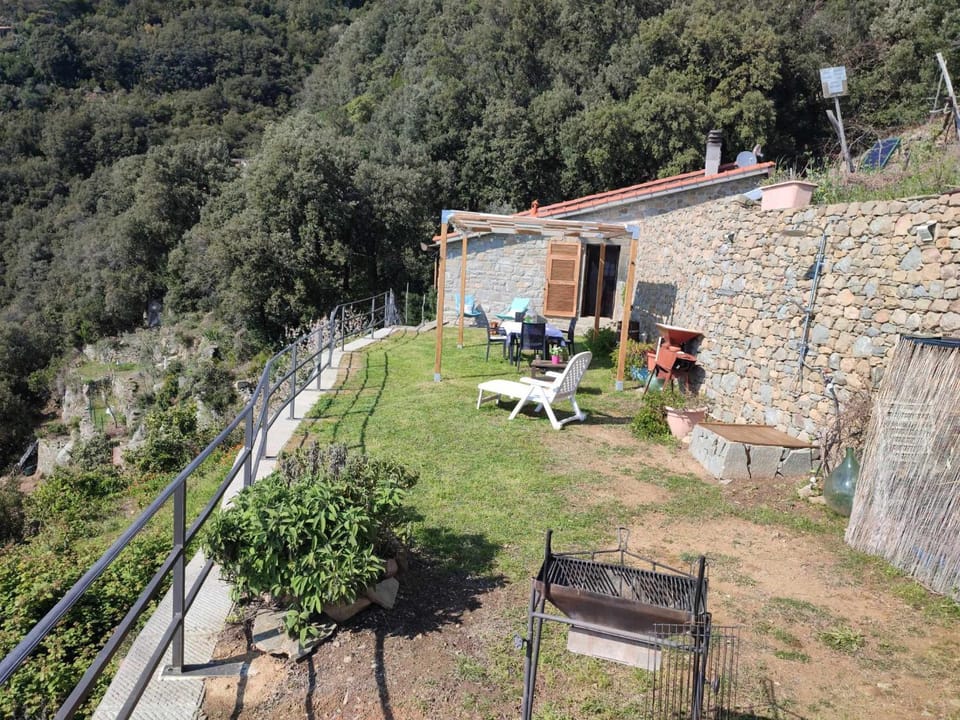 Garden, Garden view