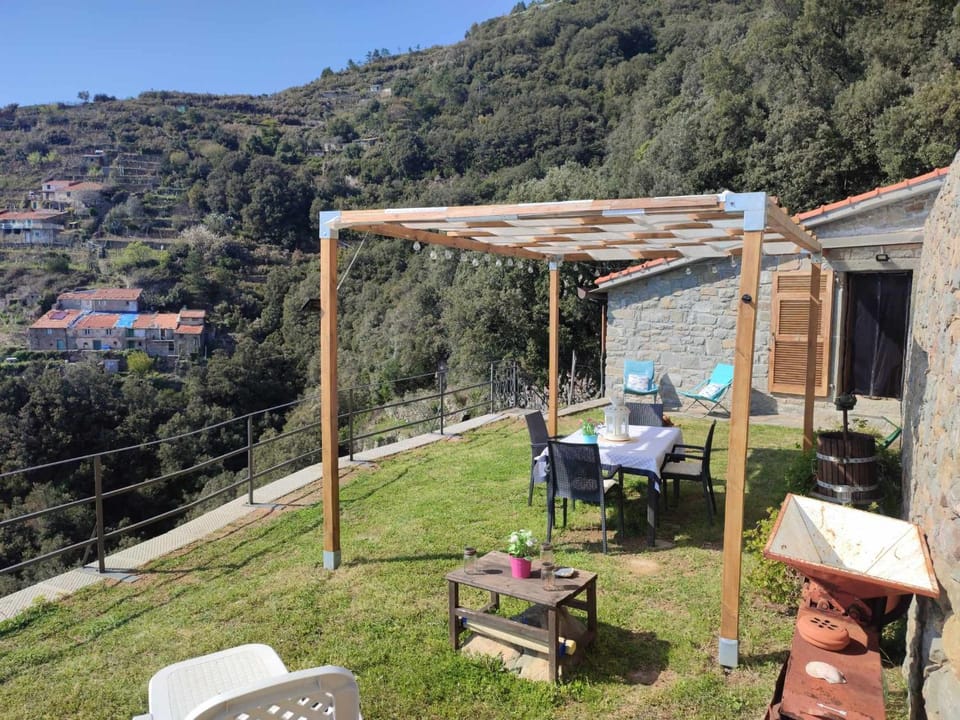 Garden, Garden view