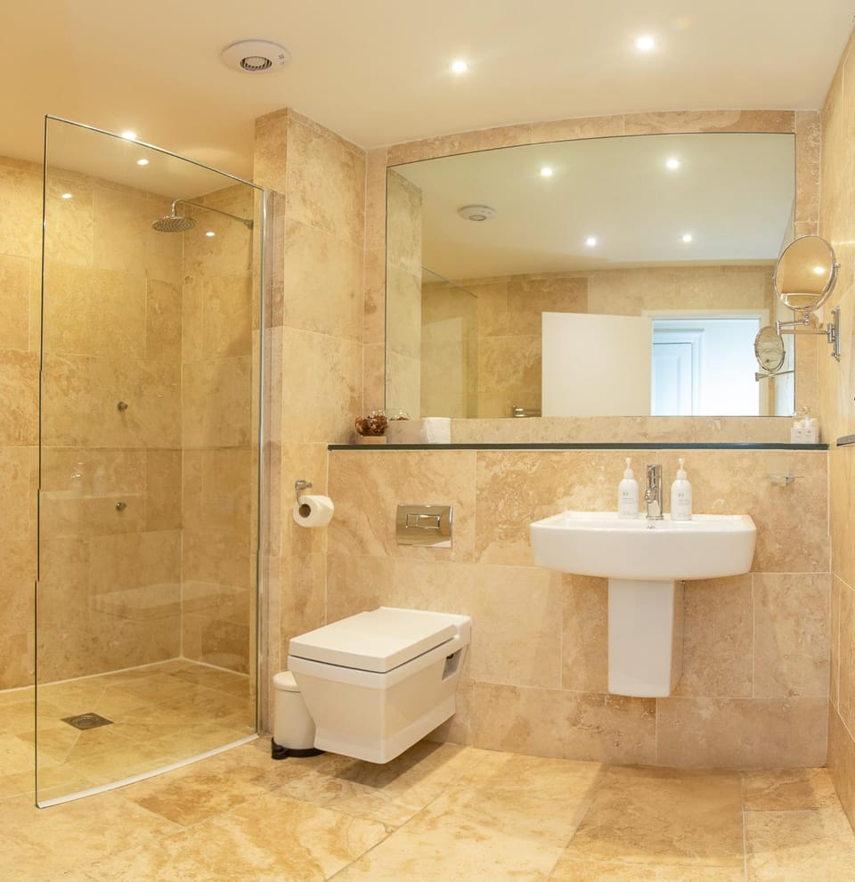 Shower, Toilet, Bathroom, bidet