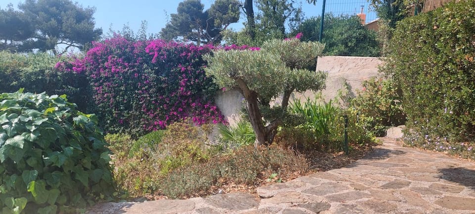 Villa du Bau Rouge Villa in French Riviera
