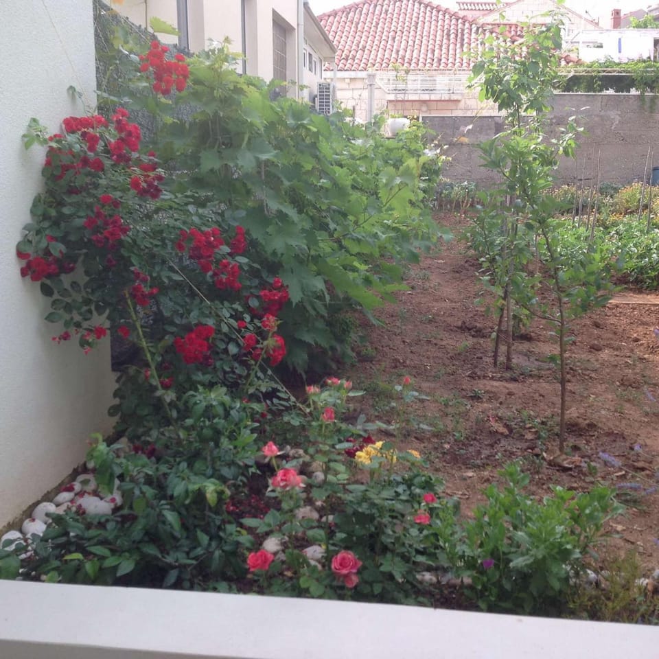 Natural landscape, Garden