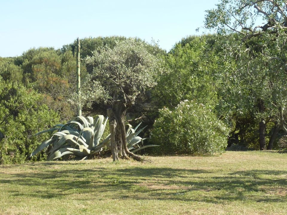 FERME DU MOULIN ROUX- 2 superbes appartements- 2cbres chacun- classé 3 étoiles, climatisés Apartment in Ramatuelle
