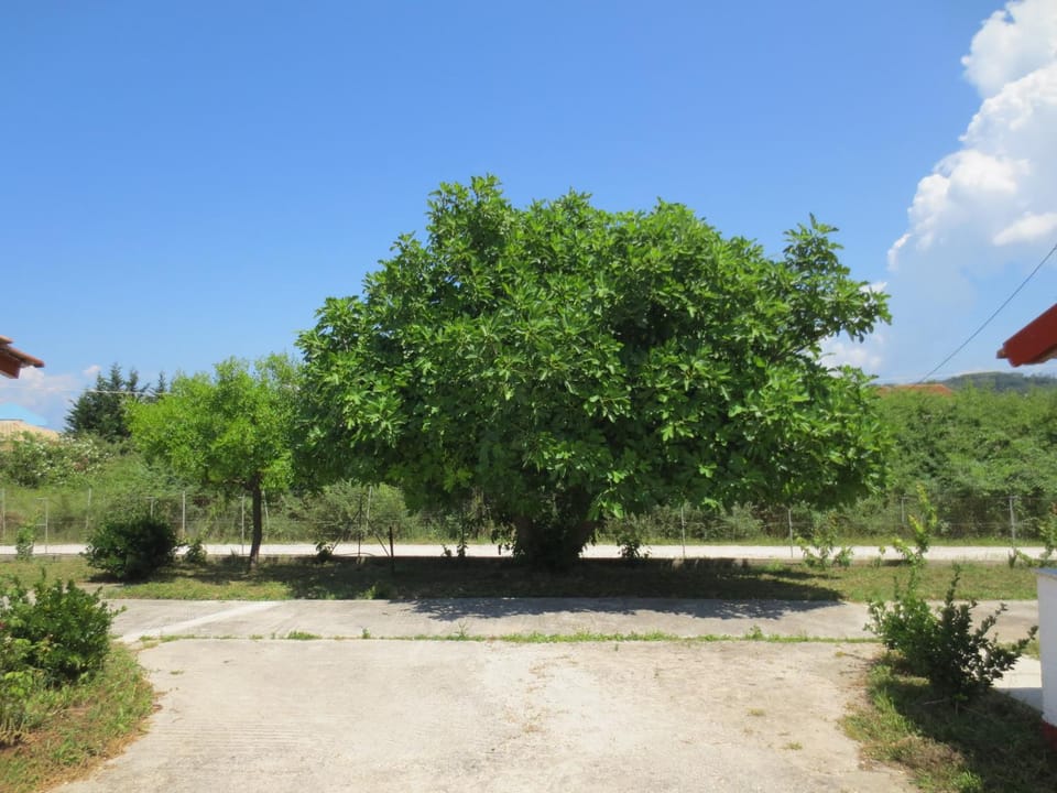 Garden, On site
