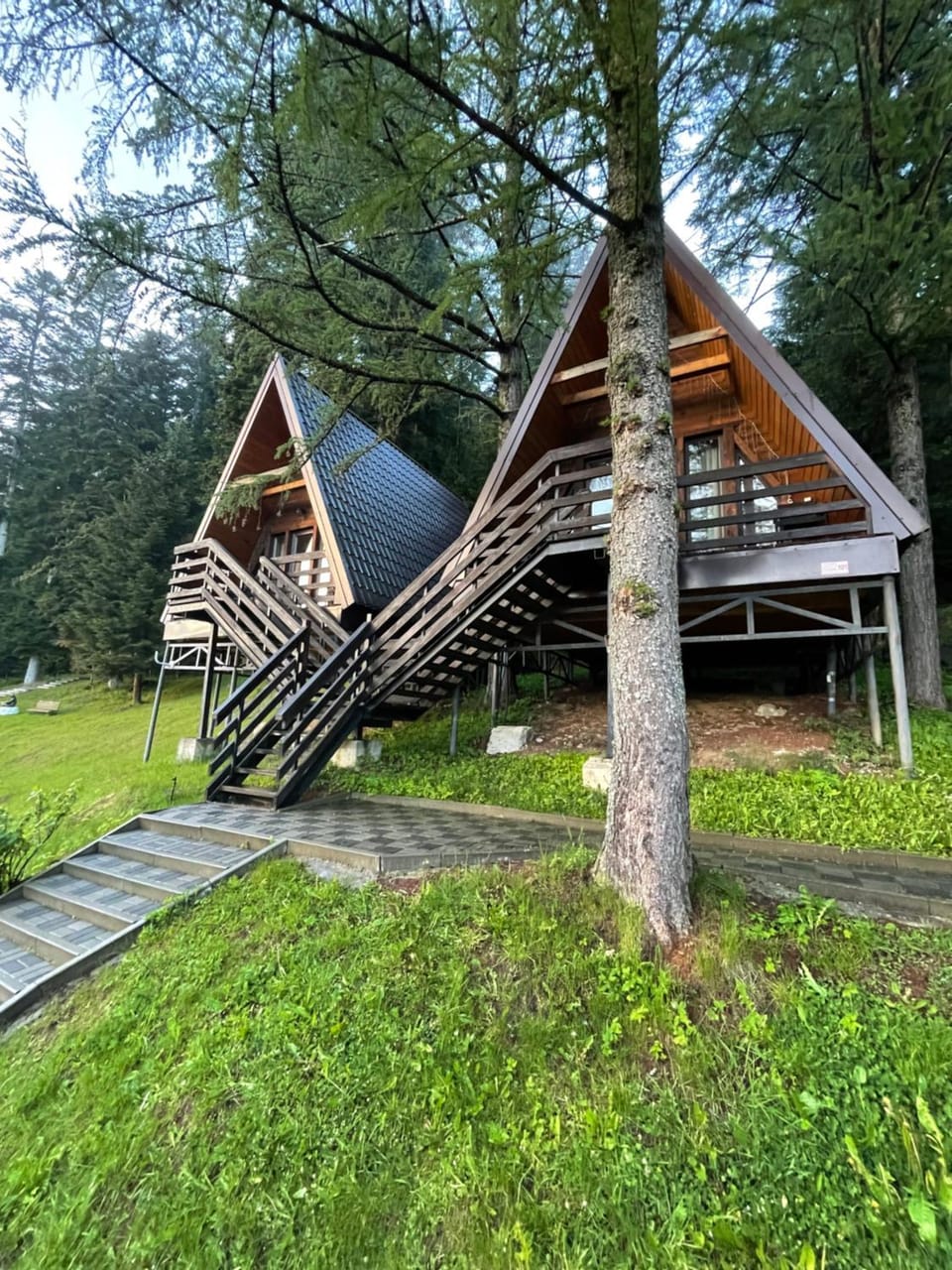 Karpatskyy Nature lodge in Lviv Oblast