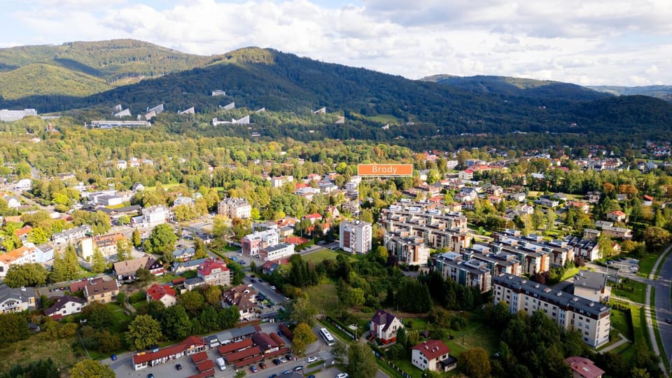 Neighbourhood, Bird's eye view