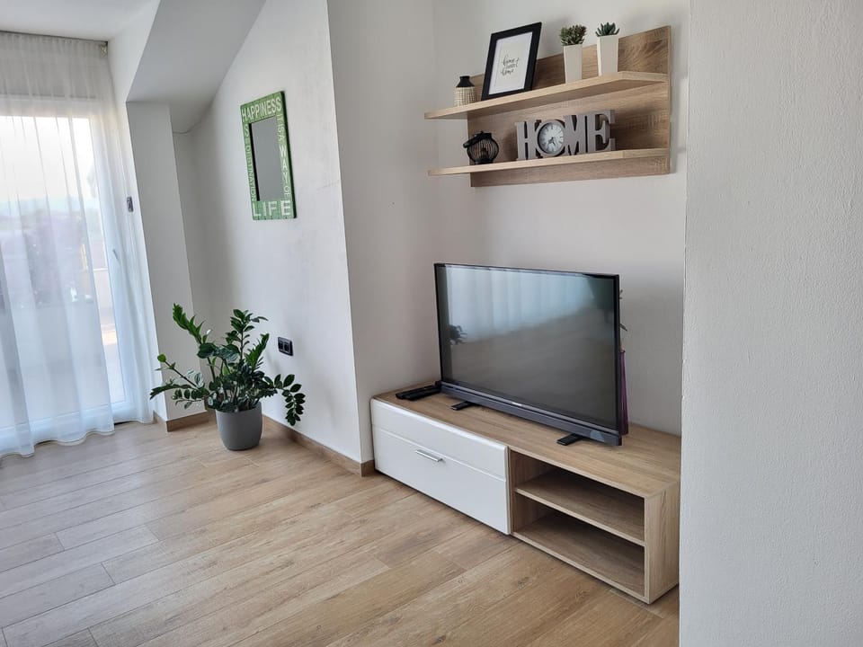 TV and multimedia