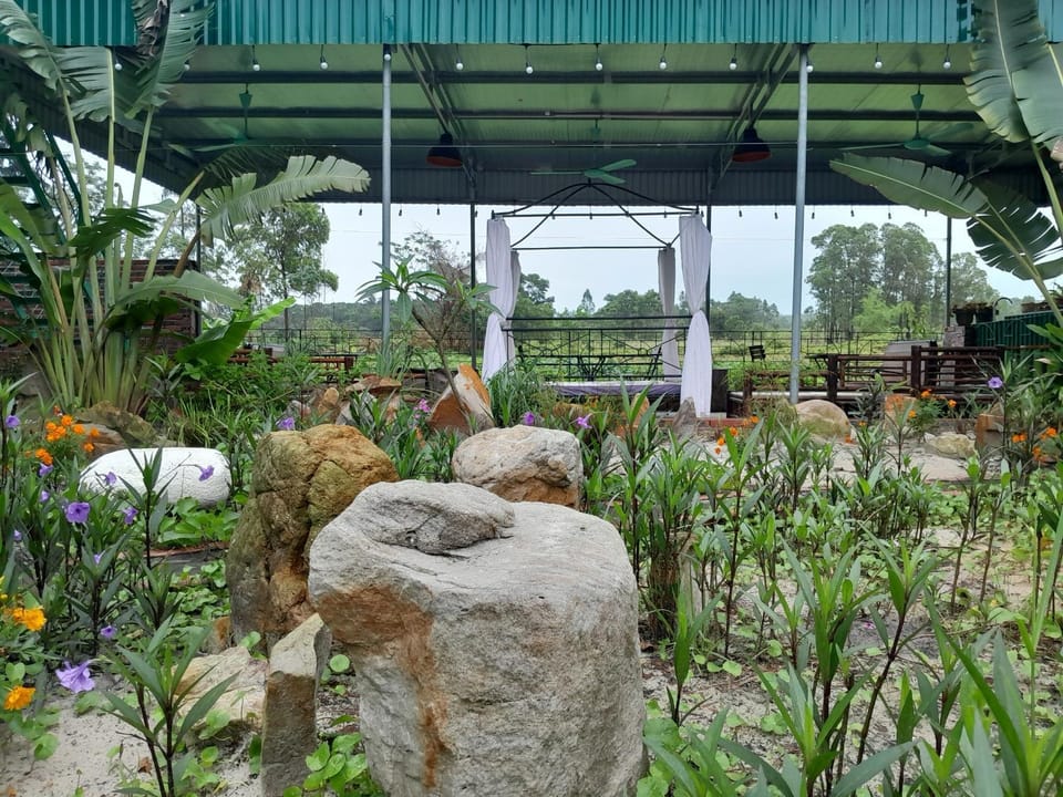 Garden view