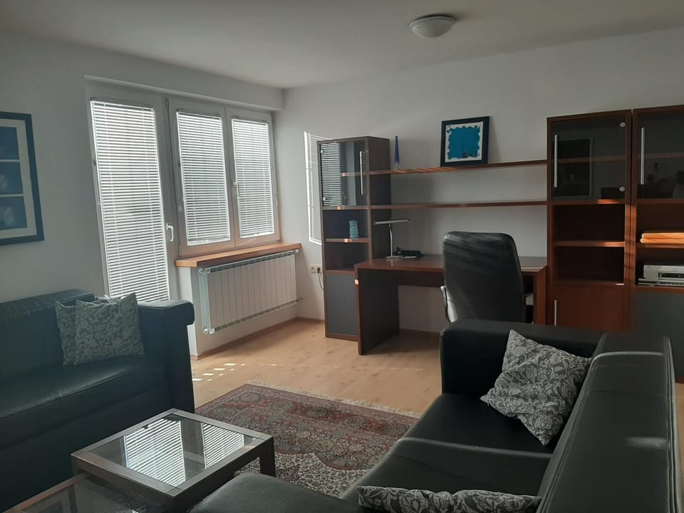 Apartment Zupan Apartment in Slovenia
