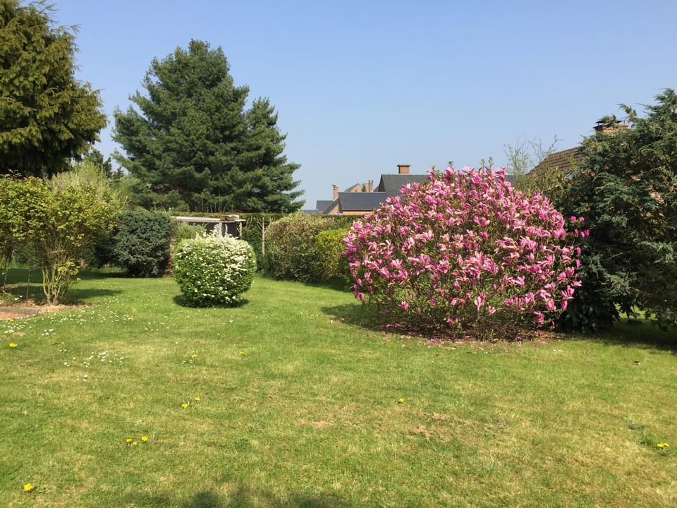 Le Valdine House in Wallonia, Belgium