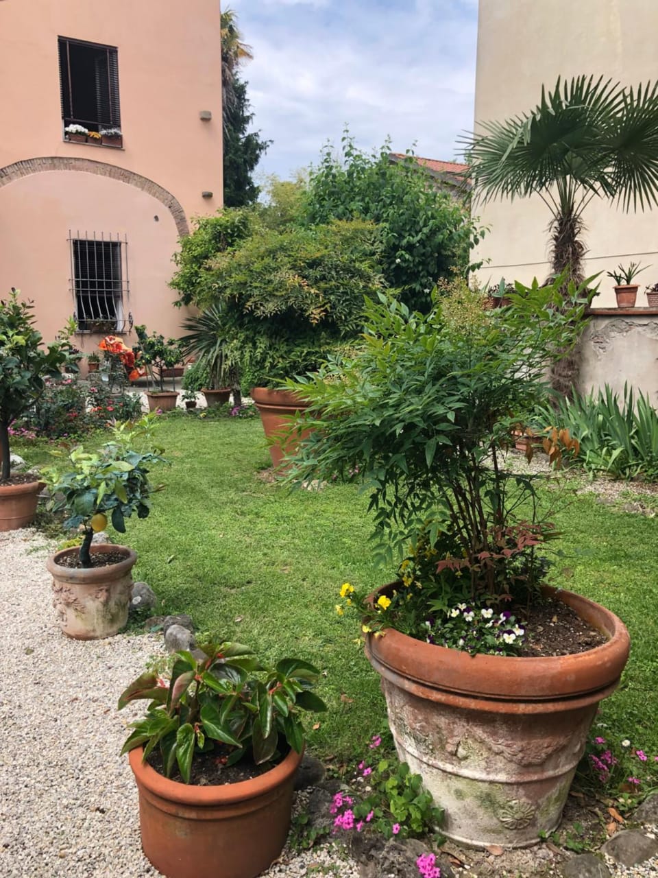 Garden