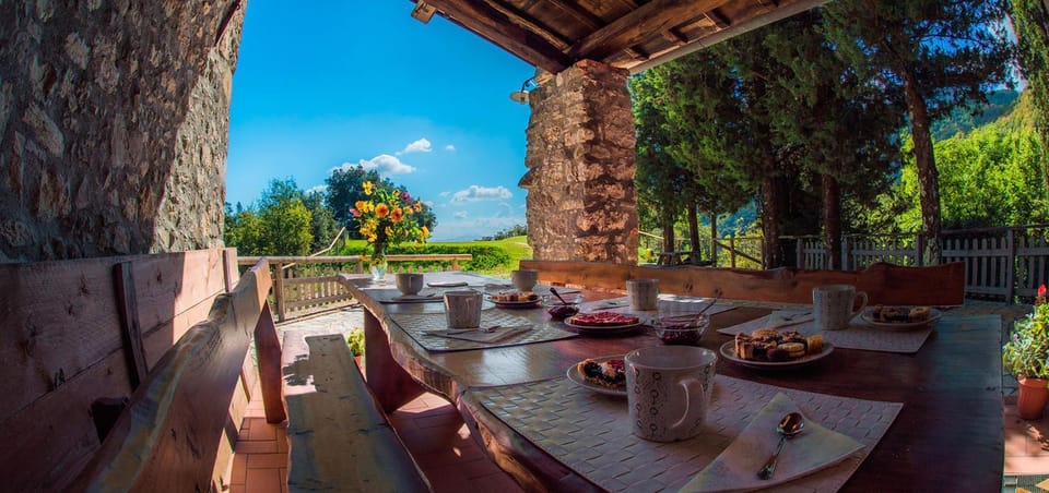 Patio, BBQ facilities, Garden, Dining area
