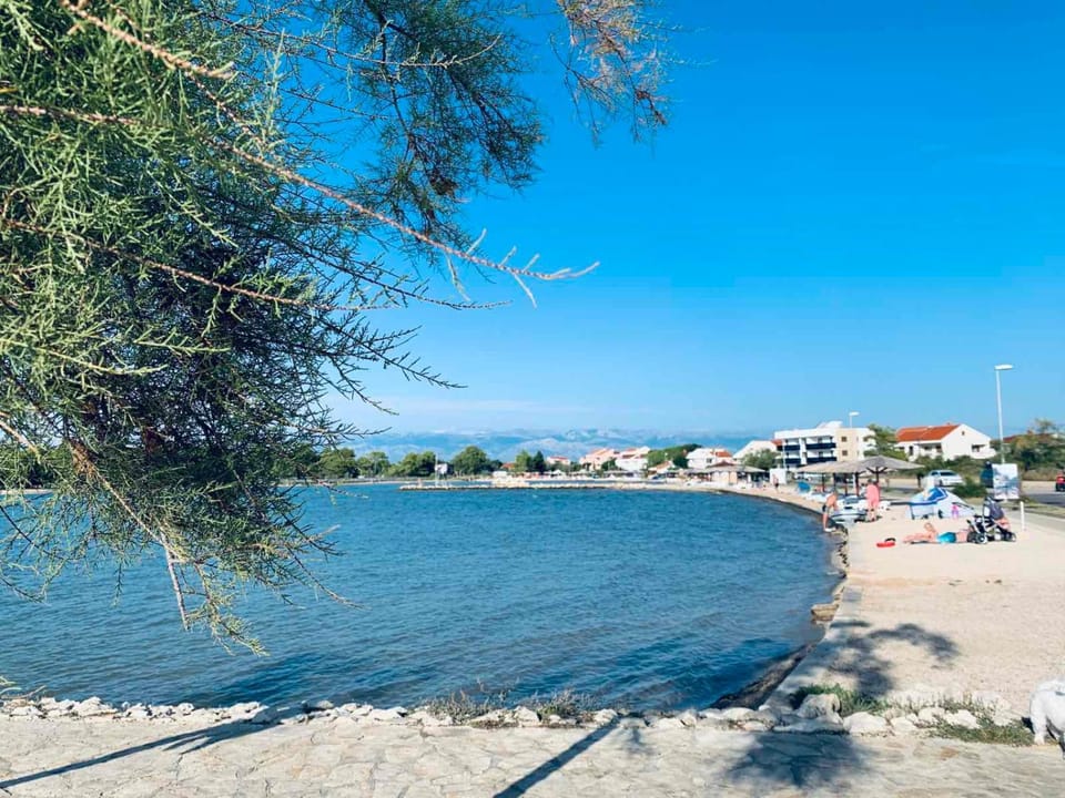 Apartments Gloria Apartment in Zadar County