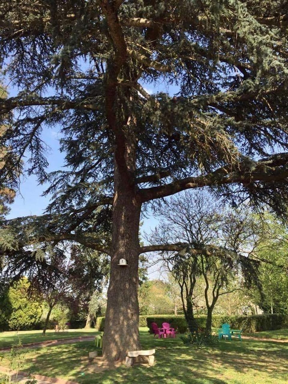 Garden view
