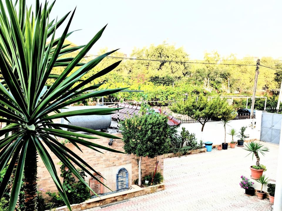 Property building, Day, Garden view
