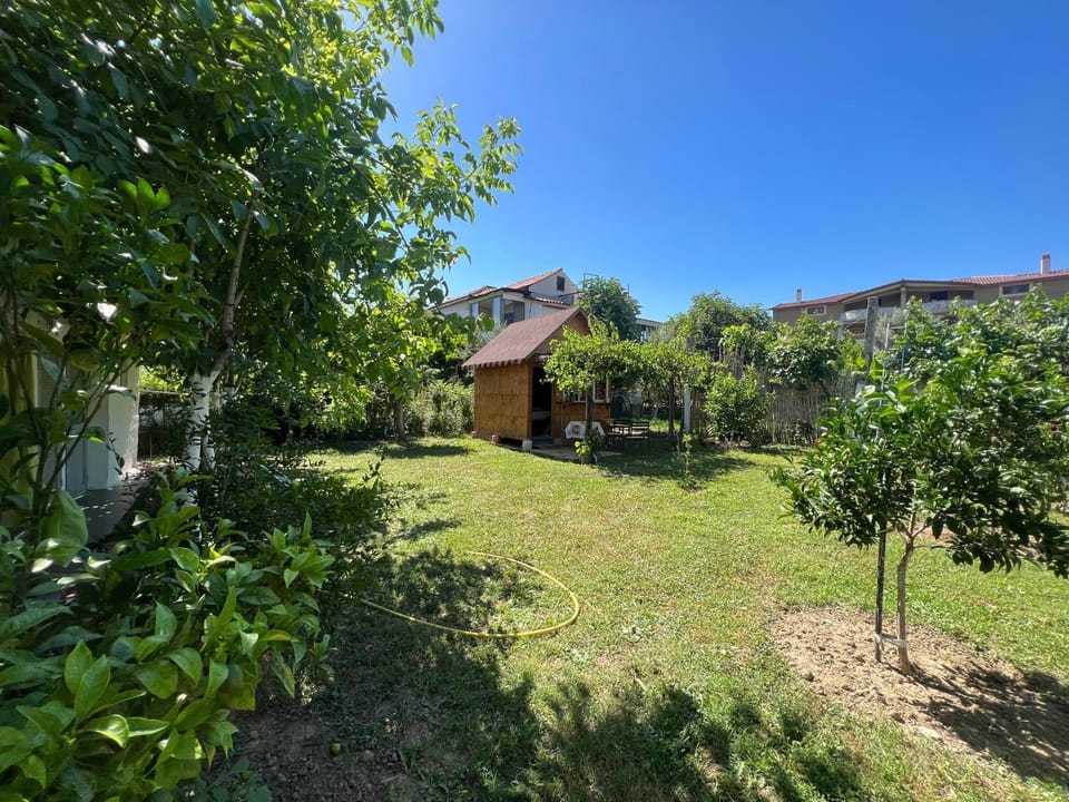 Property building, Natural landscape, Garden