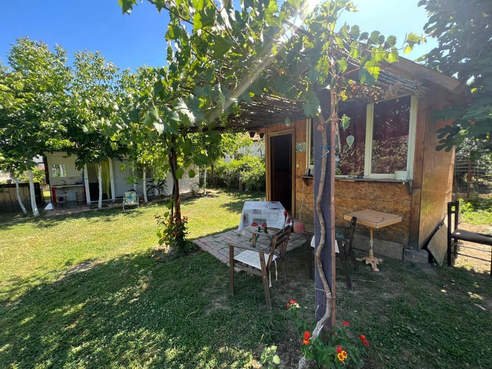 Patio, Garden