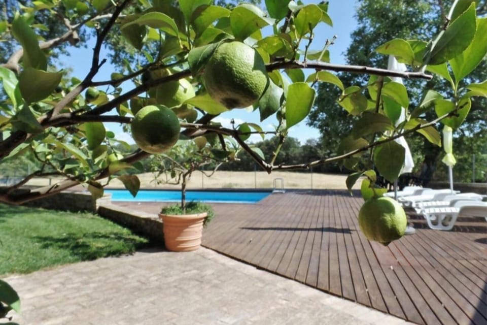 Natural landscape, Pool view, Swimming pool