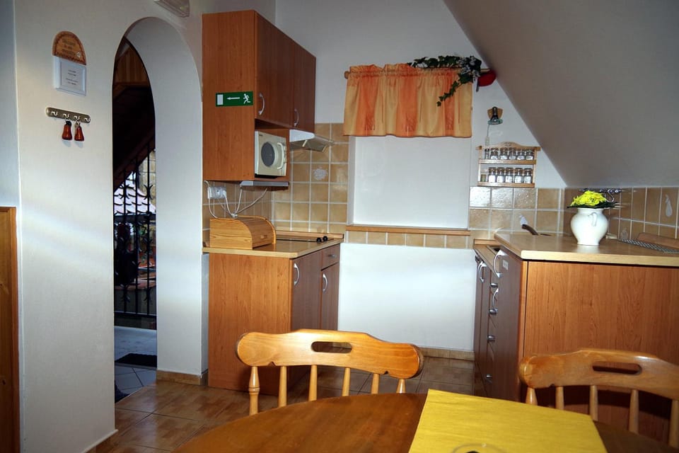 Sklep u Veselých Apartment in South Moravian Region