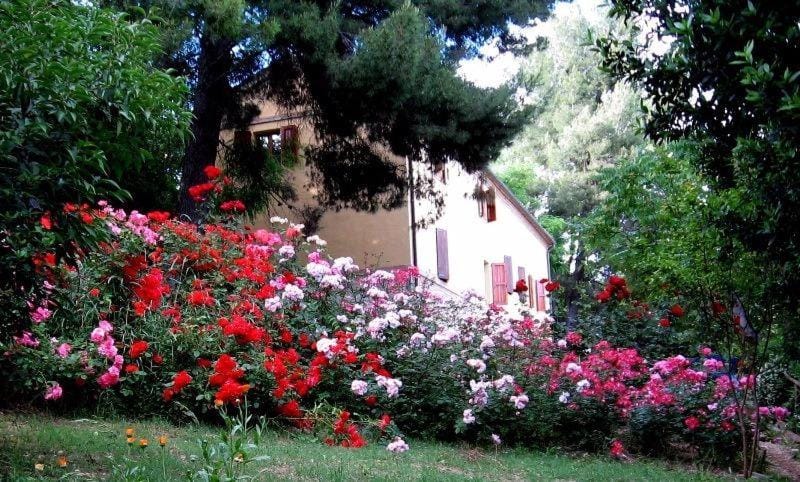 Agriturismo La Casa della Lavanda - Il Casale Farm Stay in Marche
