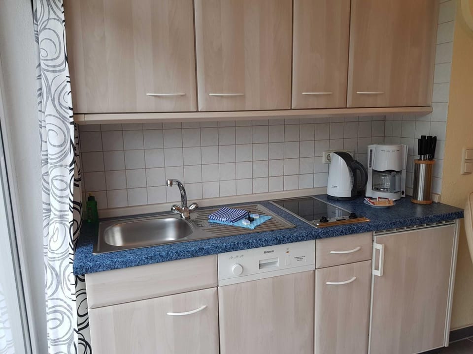 Kitchen or kitchenette, dishwasher, stove