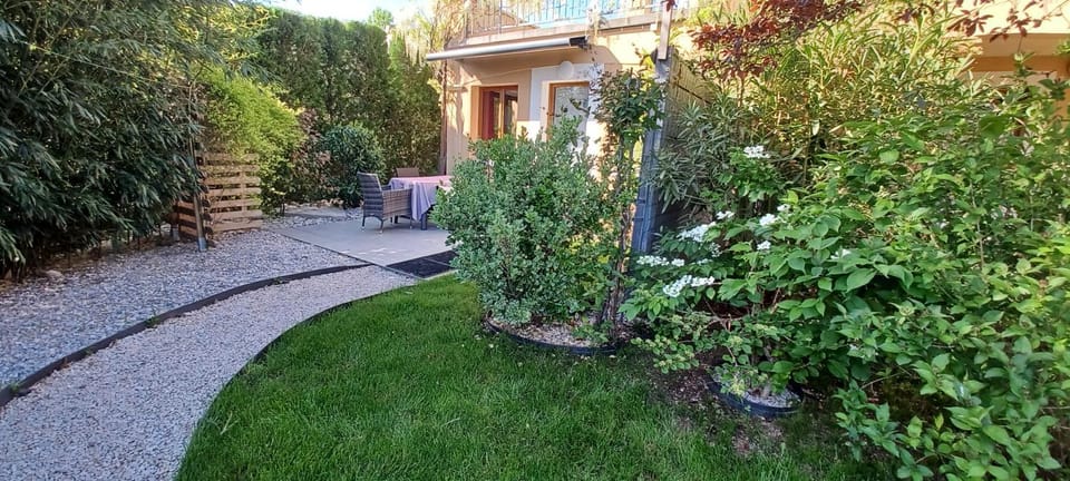 Patio, Patio, Garden, Garden