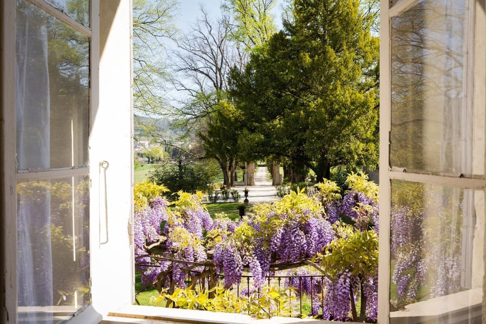 View (from property/room)