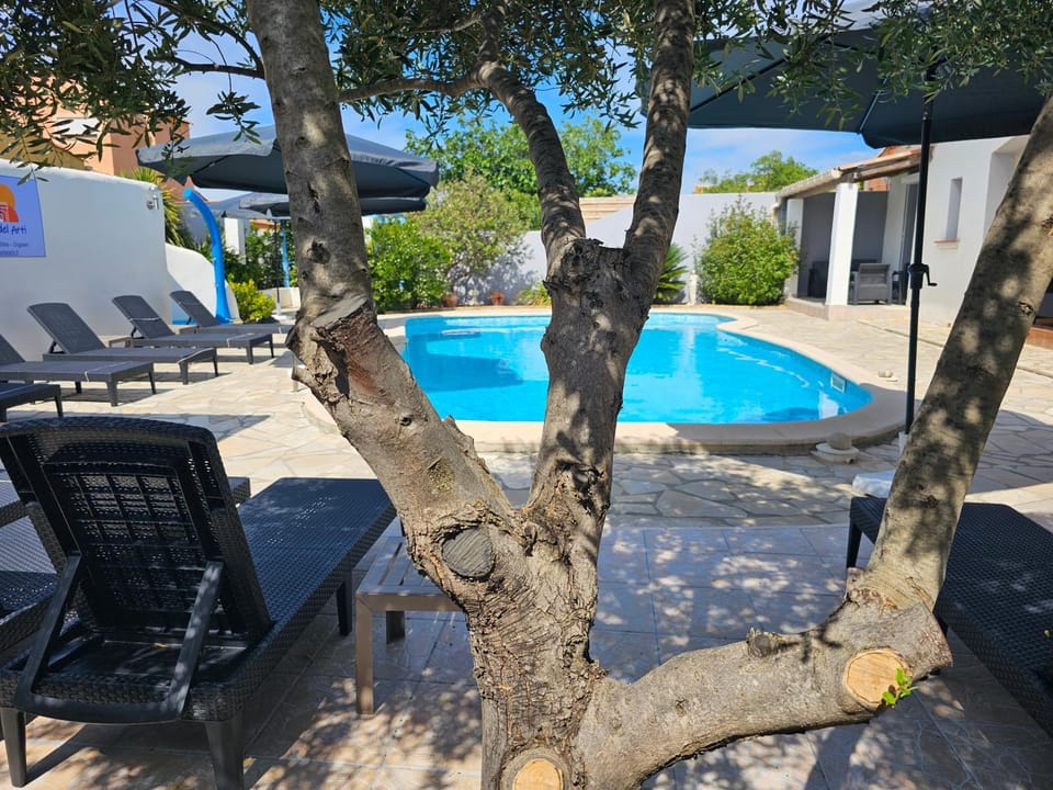 Patio, Garden view, Pool view, Swimming pool, Swimming pool