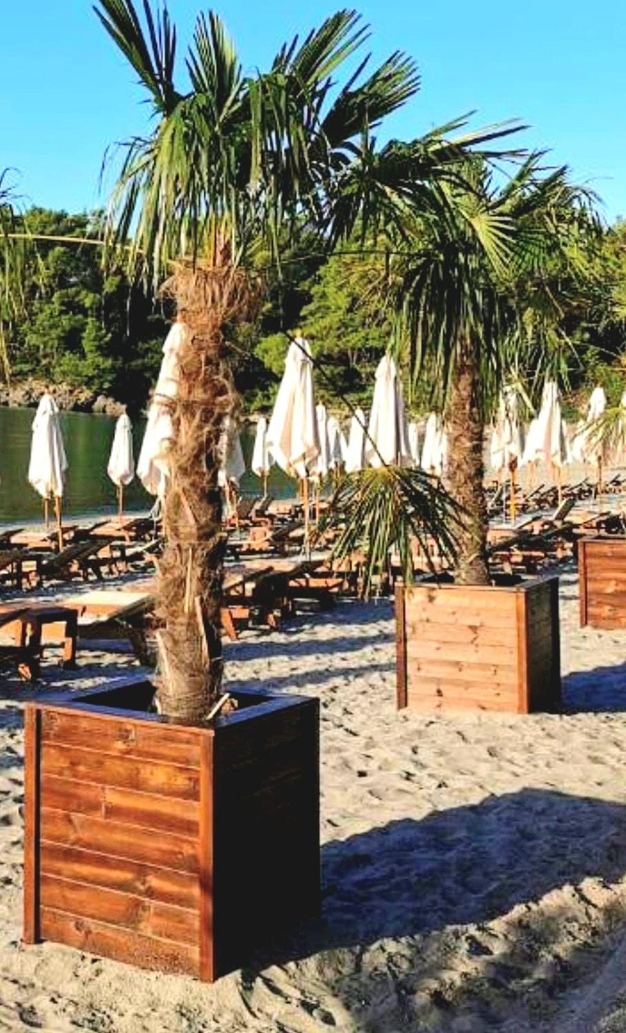 Apartments Svetlana Apartment in Kotor Municipality