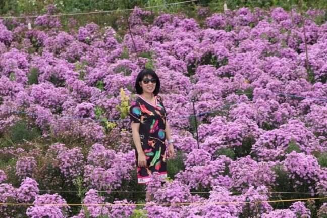 My Anh Guest House Bed and Breakfast in Dalat