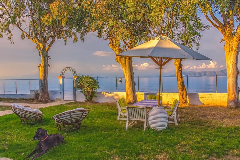 Day, Summer, Garden, On site, Pets, Garden view, Sea view