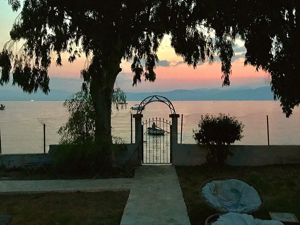 Summer, Garden, Beach, Beach, On site, Sea view, Sea view, Sunrise