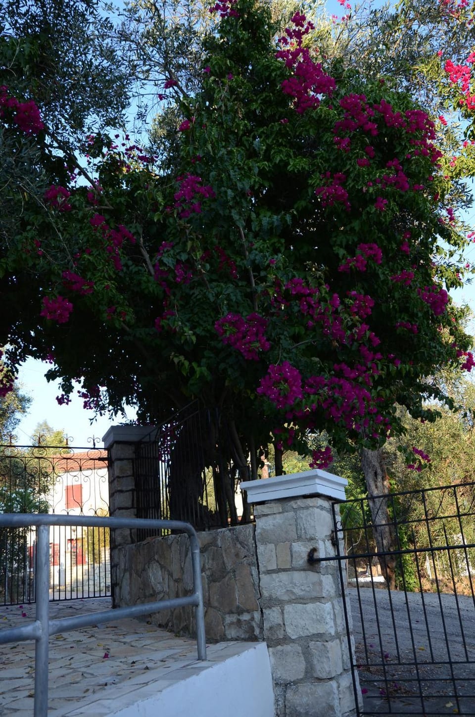 Facade/entrance, Spring, Garden, On site, Garden view, Street view, Sunset