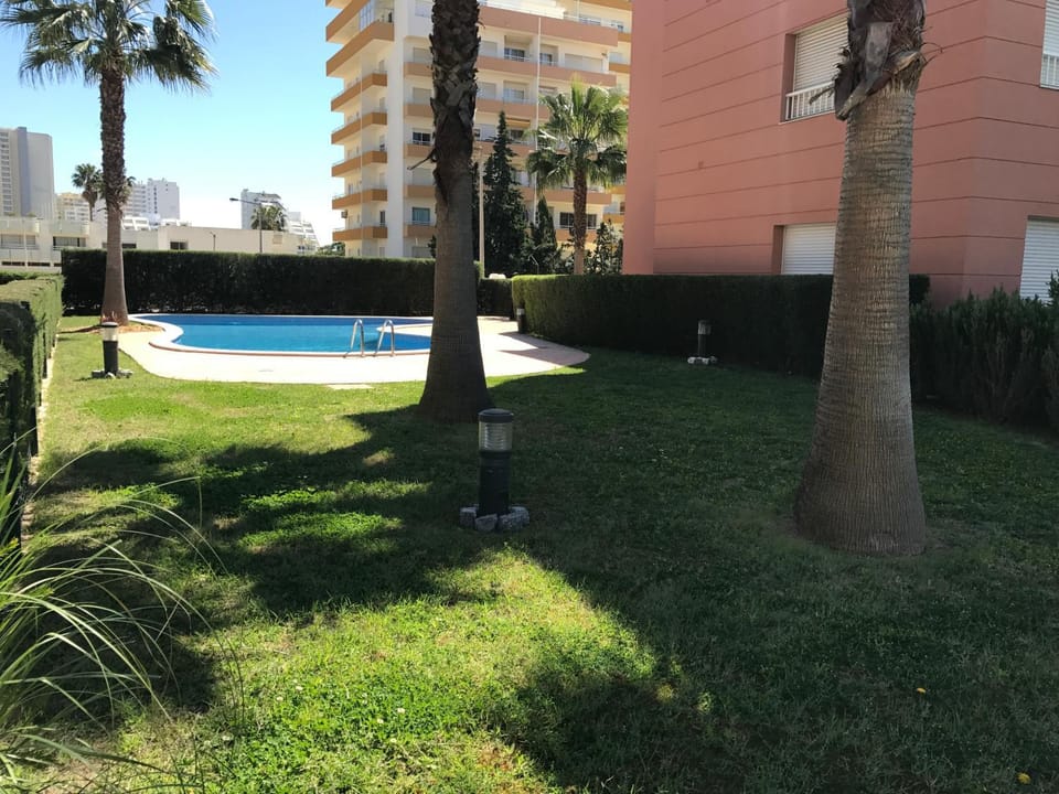 Garden, Garden view, Pool view, Swimming pool