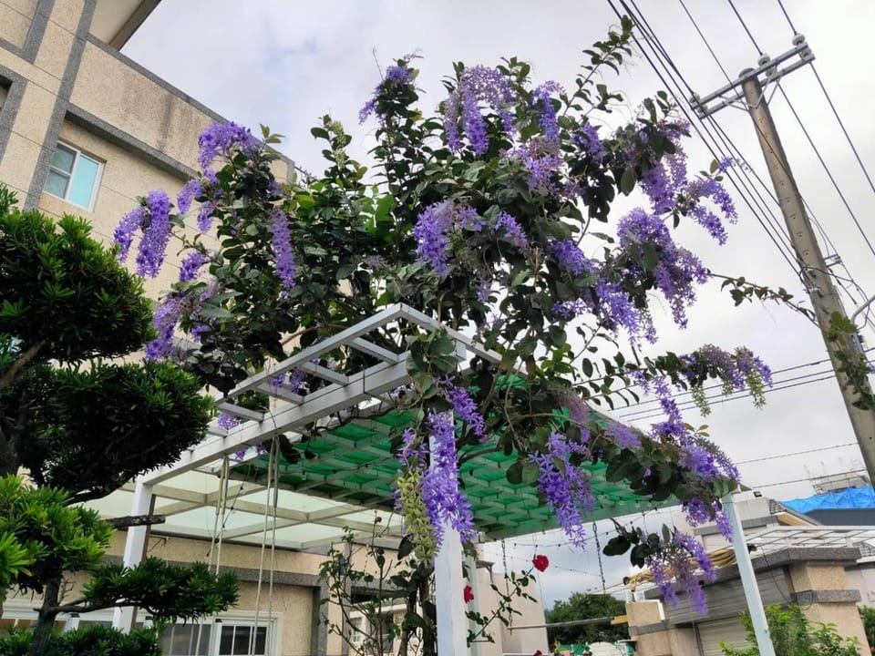 Ido Homestay Vacation rental in Taiwan, Province of China