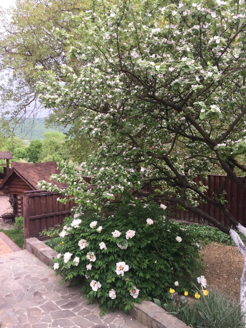 Liubava Bed and Breakfast in Ukraine