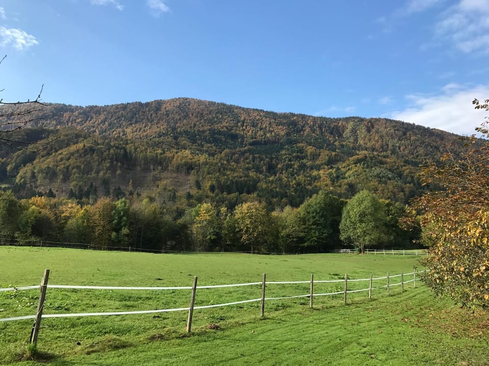 Natural landscape