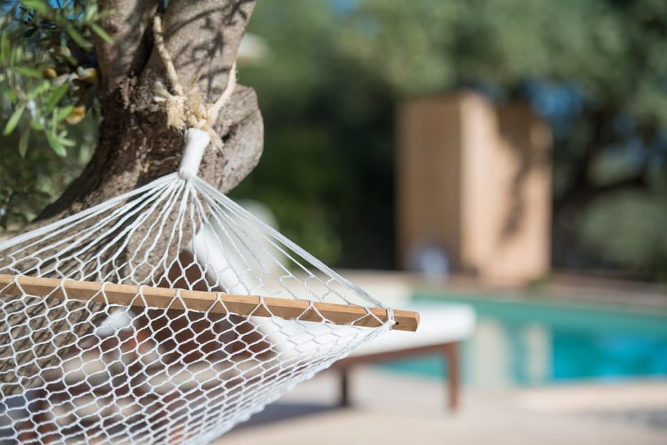 Garden, Swimming pool, Swimming pool
