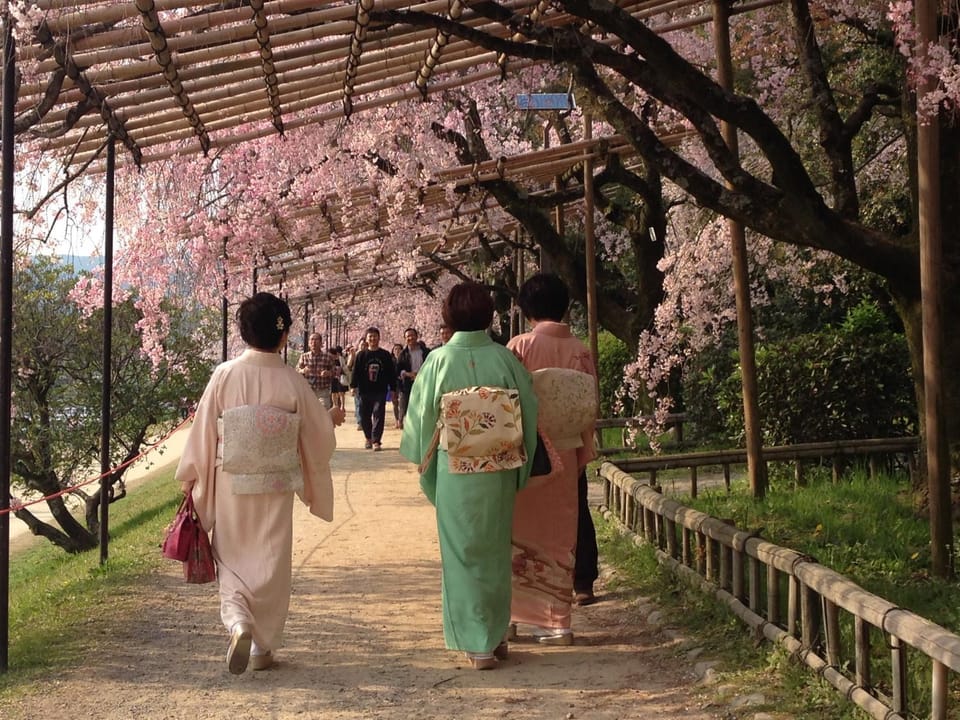Spring, Seasons