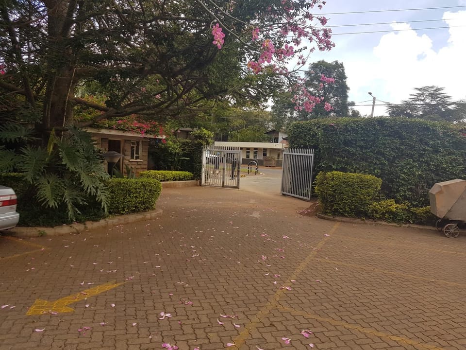 Day, Street view