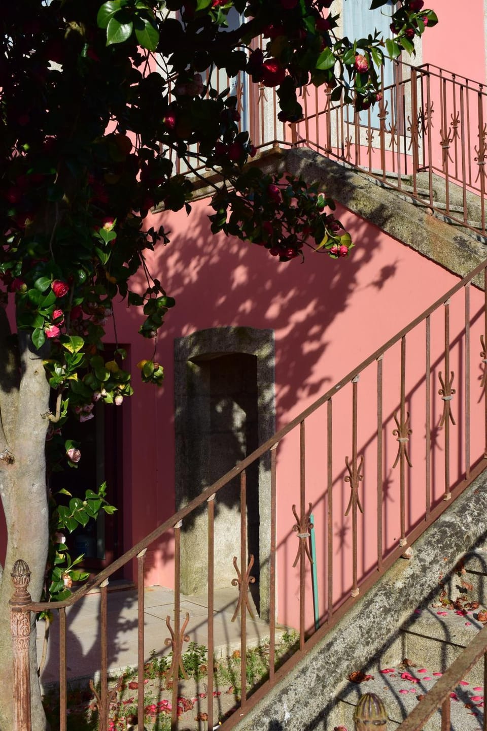 Patio, Facade/entrance