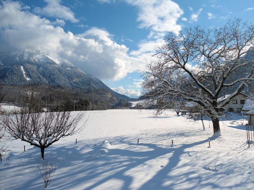 Winter, Garden view