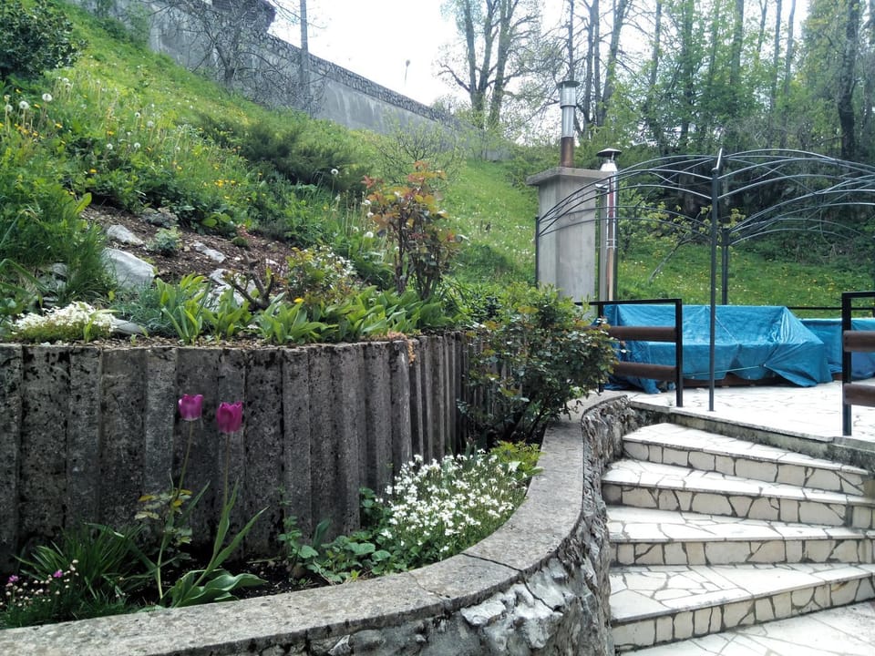 Natural landscape, Garden, Balcony/Terrace