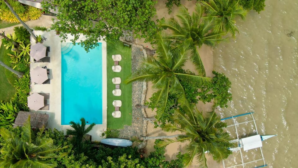 Pool view, sunbed