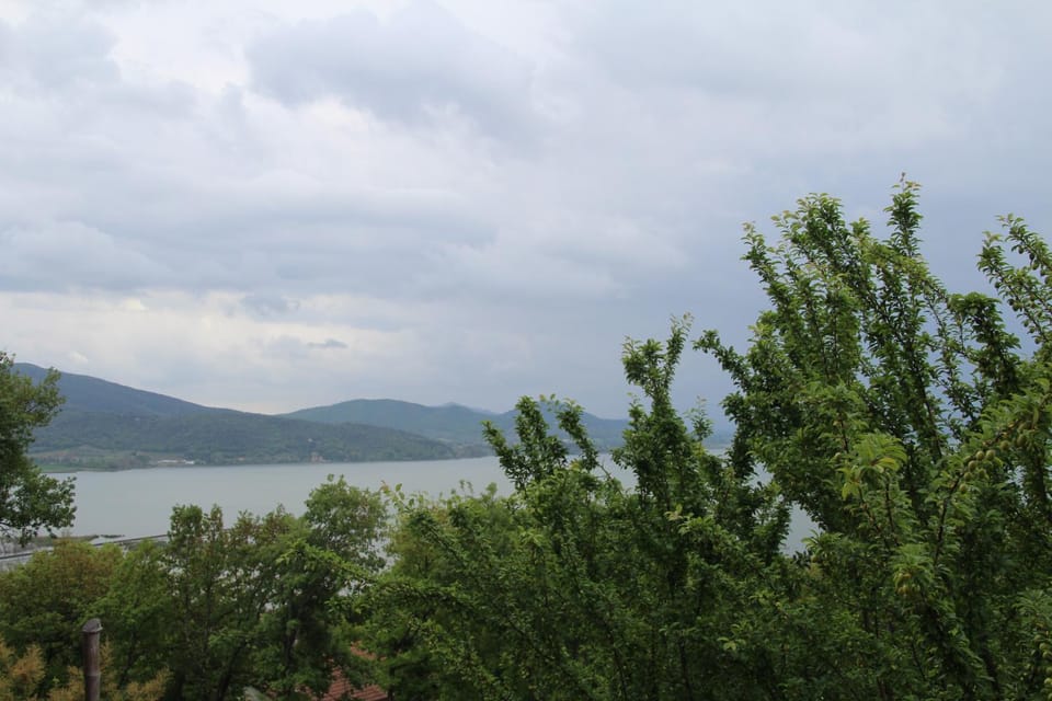 Natural landscape