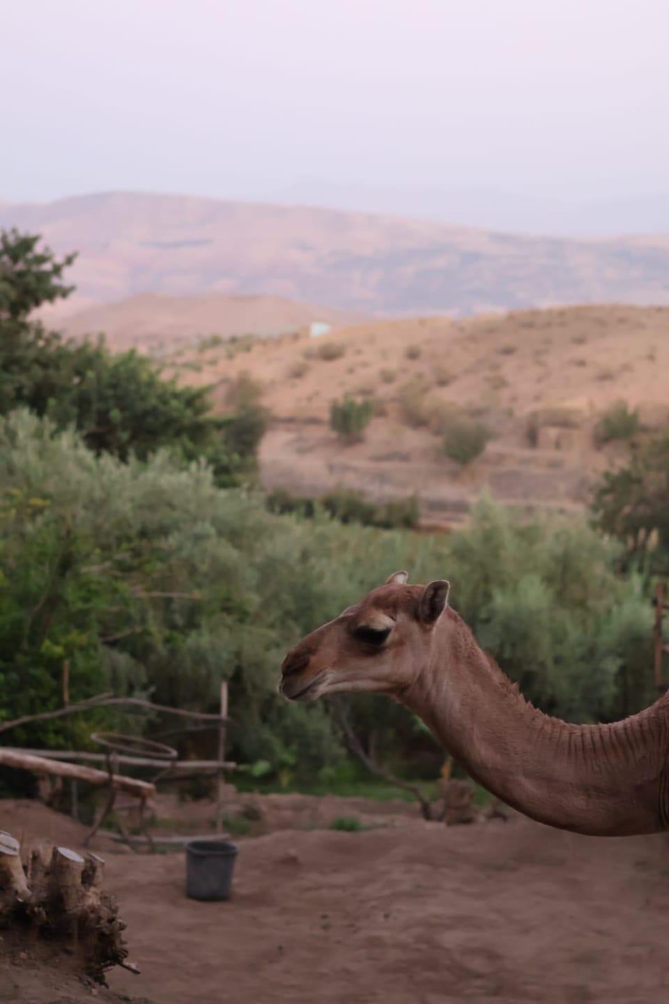 Les terrasses du Lac Marrakech Bed and Breakfast in Marrakesh-Safi