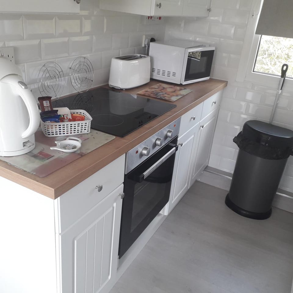 Chalet Driftwood House in Yaverland