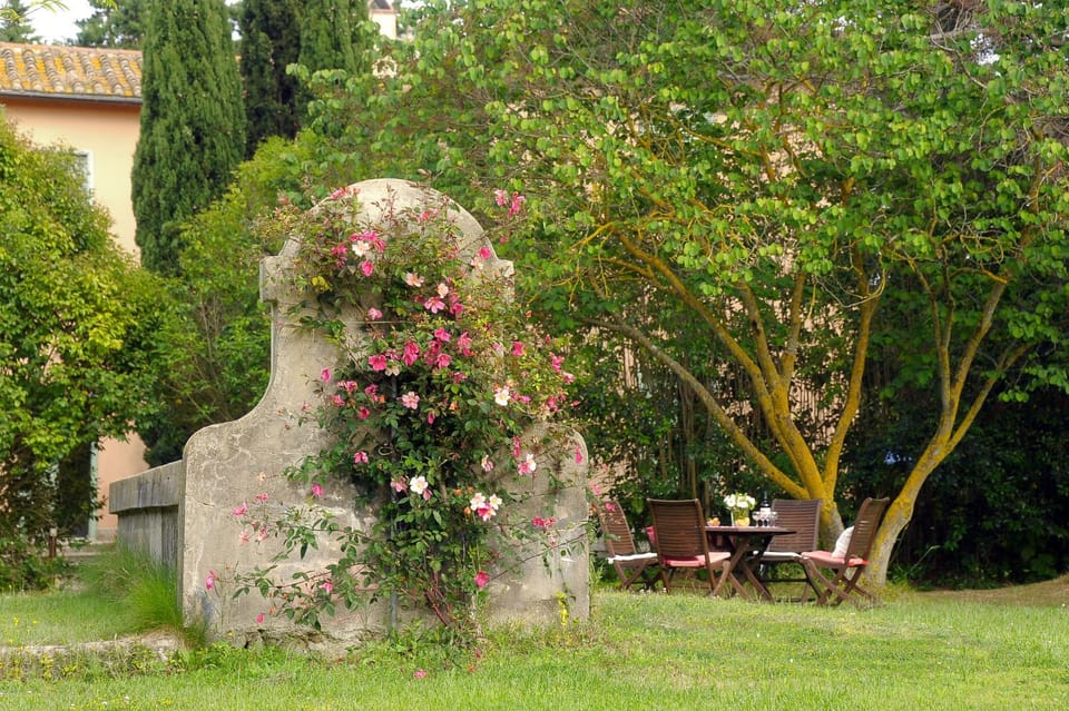 Garden, Dining area, Garden view, Lunch, Time of day