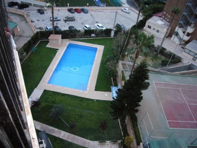 Garden, Garden view, Pool view, Street view, Swimming pool, Swimming pool