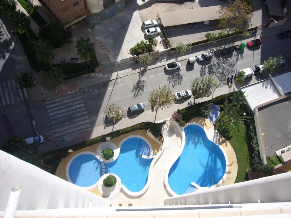 Garden, Swimming pool