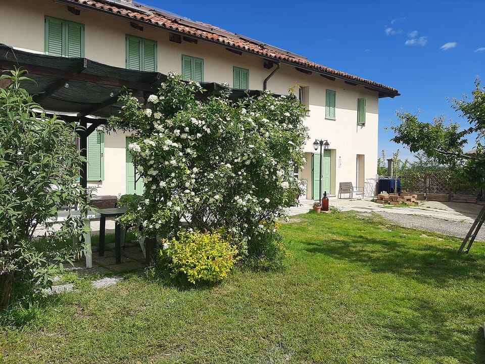 Property building, Garden view